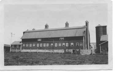 farm2.JPG (207485 bytes)