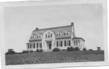 farm3.JPG (207287 bytes)